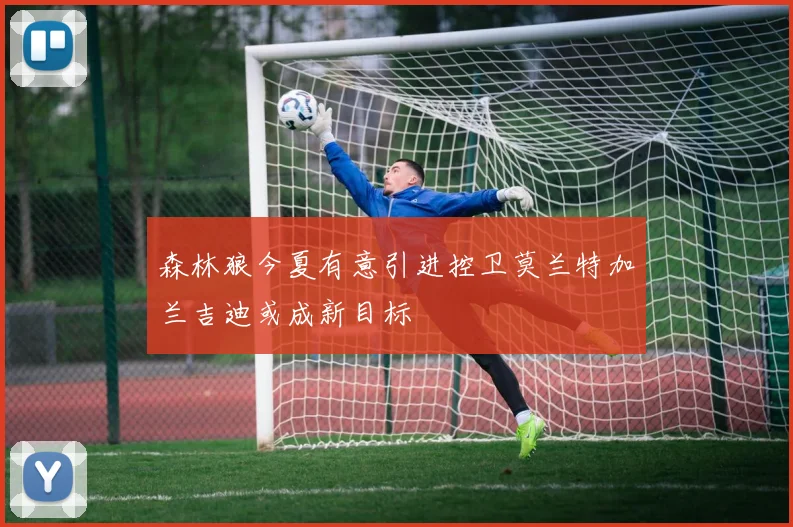 森林狼今夏有意引进控卫莫兰特加兰吉迪或成新目标