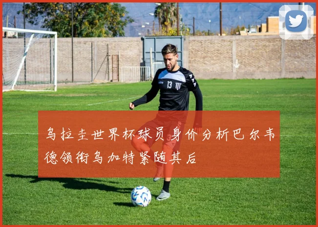 乌拉圭世界杯球员身价分析巴尔韦德领衔乌加特紧随其后