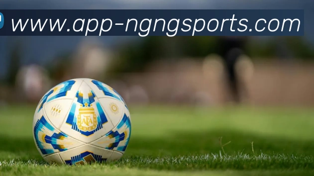 NG体育全站App